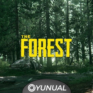 The Forest