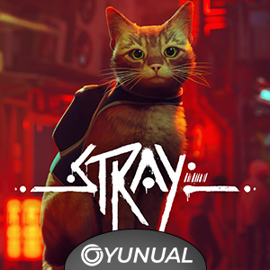 Stray